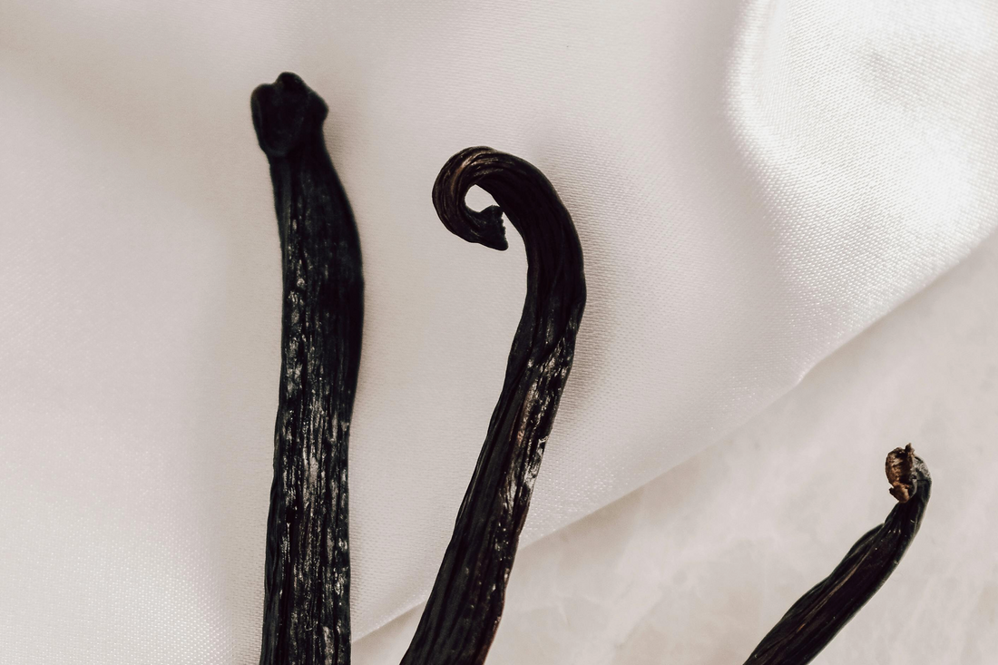Correctly Storing Vanilla Beans