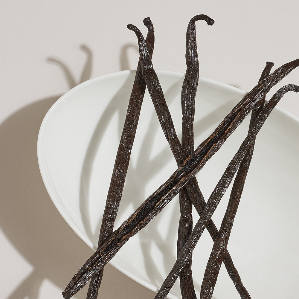 Vanilla beans on a white plate with a neutral background