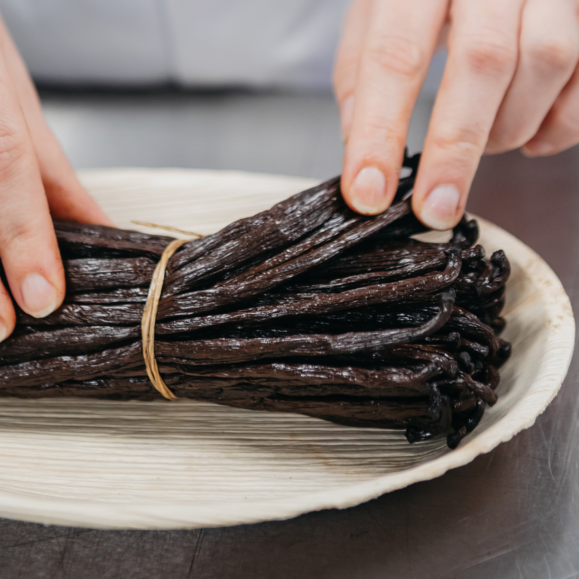 Bundled vanilla beans on a white plate with hands holding the beans